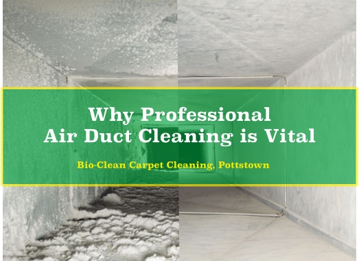 Why Professional Air Duct Cleaning is Vital?