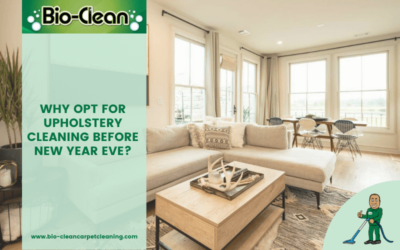 Why Opt For Upholstery Cleaning Before New Year Eve?