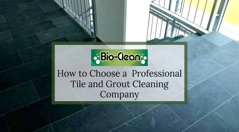 Professional Tile and Grout Cleaning Company