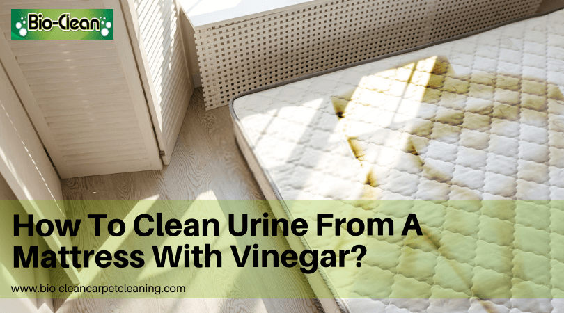 How To Clean Urine From A Mattress With Vinegar