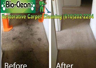 Restorative Carpet Cleaning