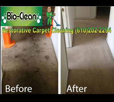 Restorative Carpet Cleaning