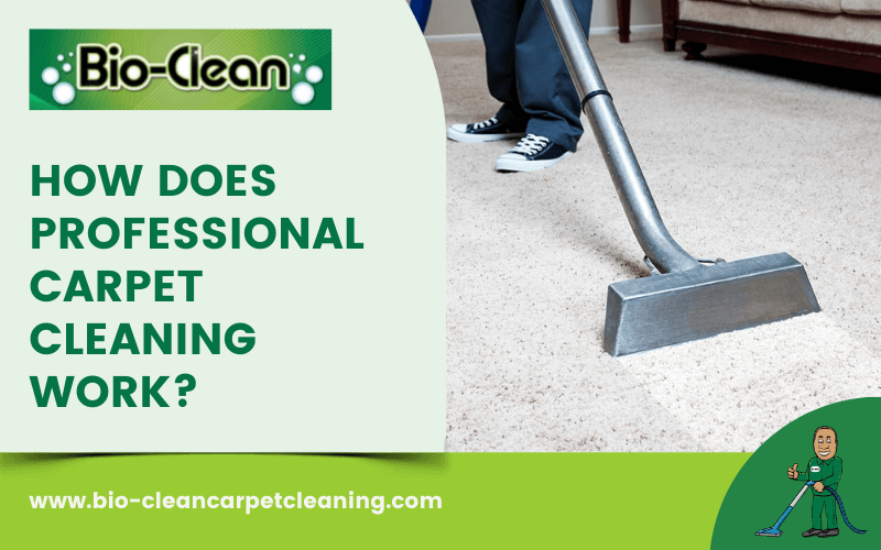 How Does Professional Carpet Cleaning Work?