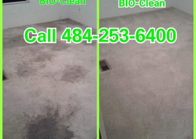 Before After Carpet Cleaning Service