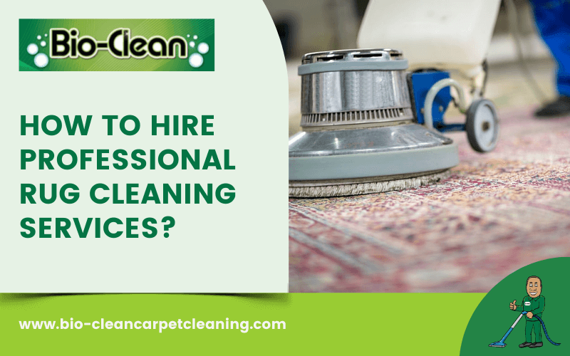 How To Hire Professional Rug Cleaning Services?