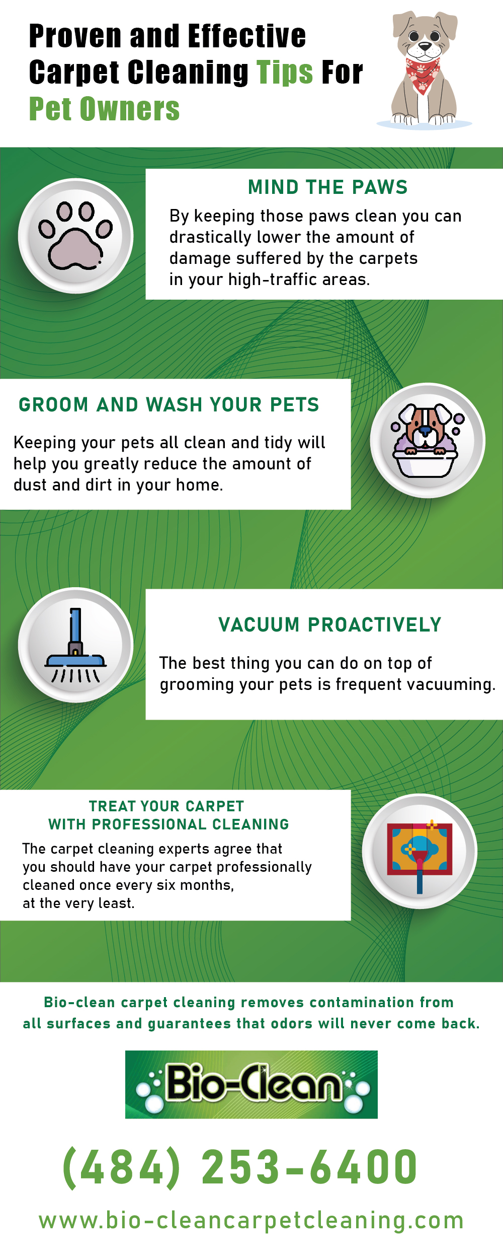 Effective Carpet Cleaning Tips For Pet Owners [Infographic]