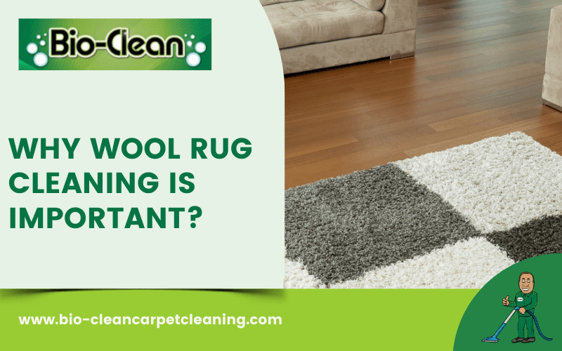 Why Wool Rug Cleaning Is Important?