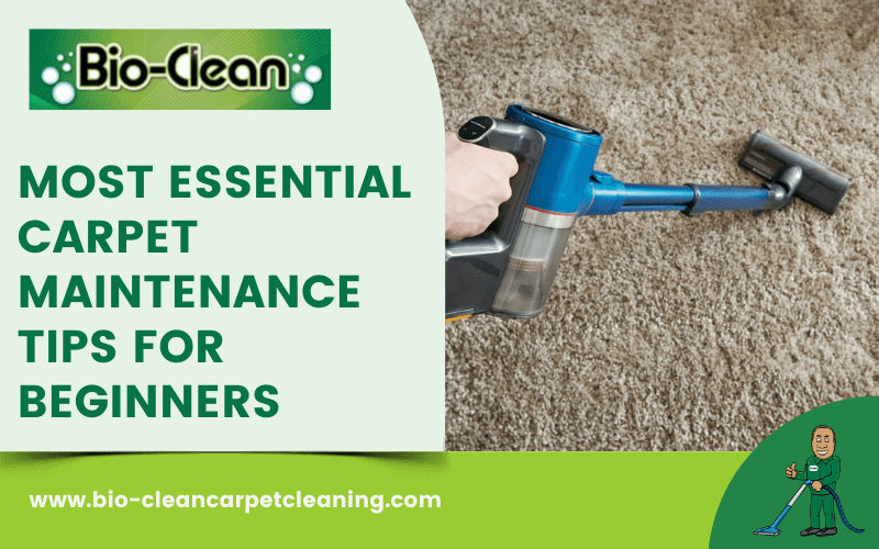 Most Essential Carpet Maintenance Tips For Beginners