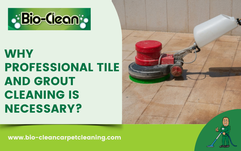 Why Professional Tile and Grout Cleaning is Necessary?