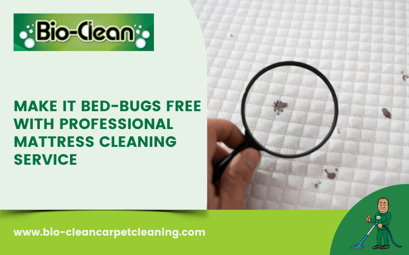 Make It Bed-Bugs Free With Professional Mattress Cleaning Service