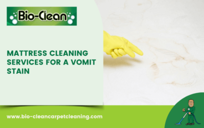 Mattress Cleaning Services For A Vomit Stain