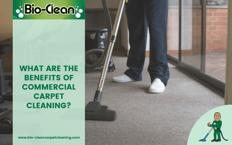 What Are The Benefits Of Commercial Carpet Cleaning?