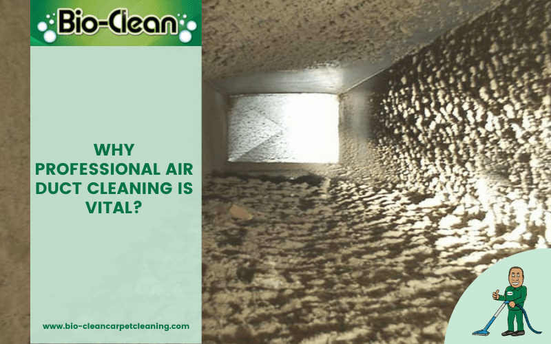 Why Professional Air Duct Cleaning is Vital_