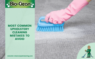 5 Most Common Upholstery Cleaning Mistakes To Avoid