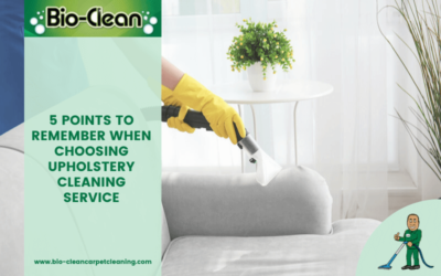 5 Points To Remember When Choosing Upholstery Cleaning Service