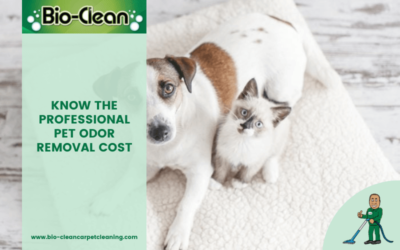 Know The Professional Pet Odor Removal Cost