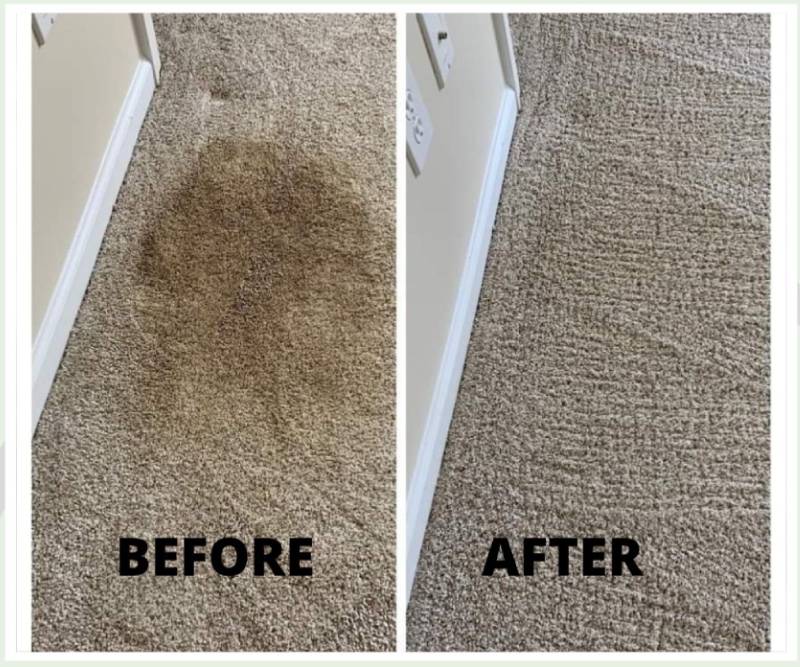 Before After Images Of Carpet Cleaning